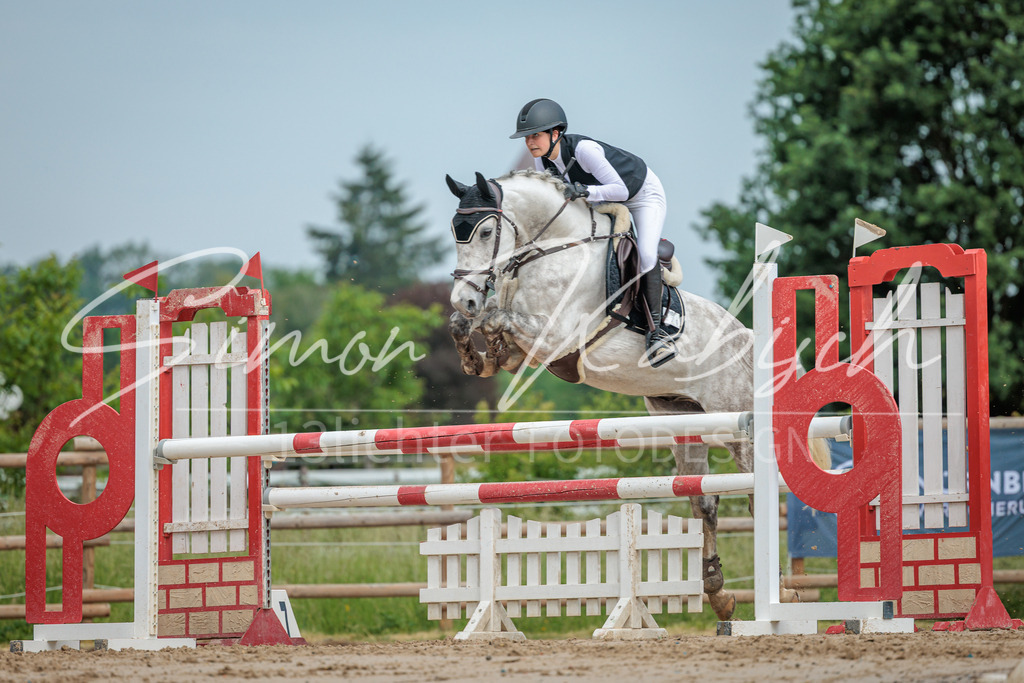 20260530-_3LI2472 | Tierfotografie Pferde, Hunde, Katzen, Haustiere.
Turnierfotografie Reitturniere, Reiten, Springreiten, Dressur in Hanau, dem Main-Kinzig-Kreis und dem Rhein-Main- Gebiet um Frankfurt