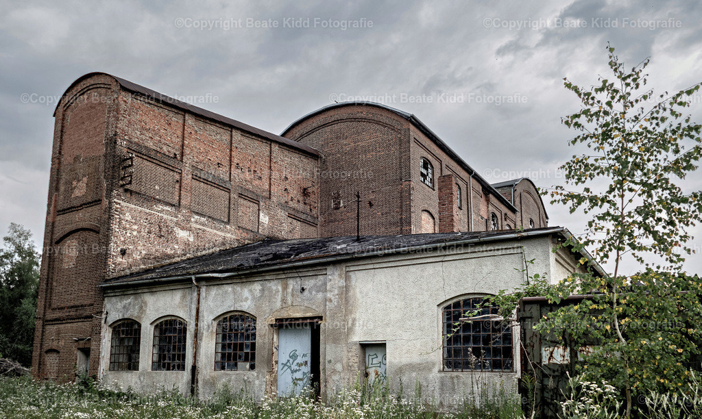 P1170572 | beatekidd-fotografie - Realisiert mit Pictrs.com