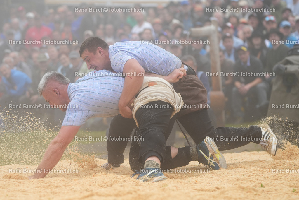 RB-05497 | René Burch leidenschaftlicher Fotograf aus Kerns in Obwalden.  Hier finden sie Sport, Landschaft und Natur Fotografie.
 - Realisiert mit Pictrs.com