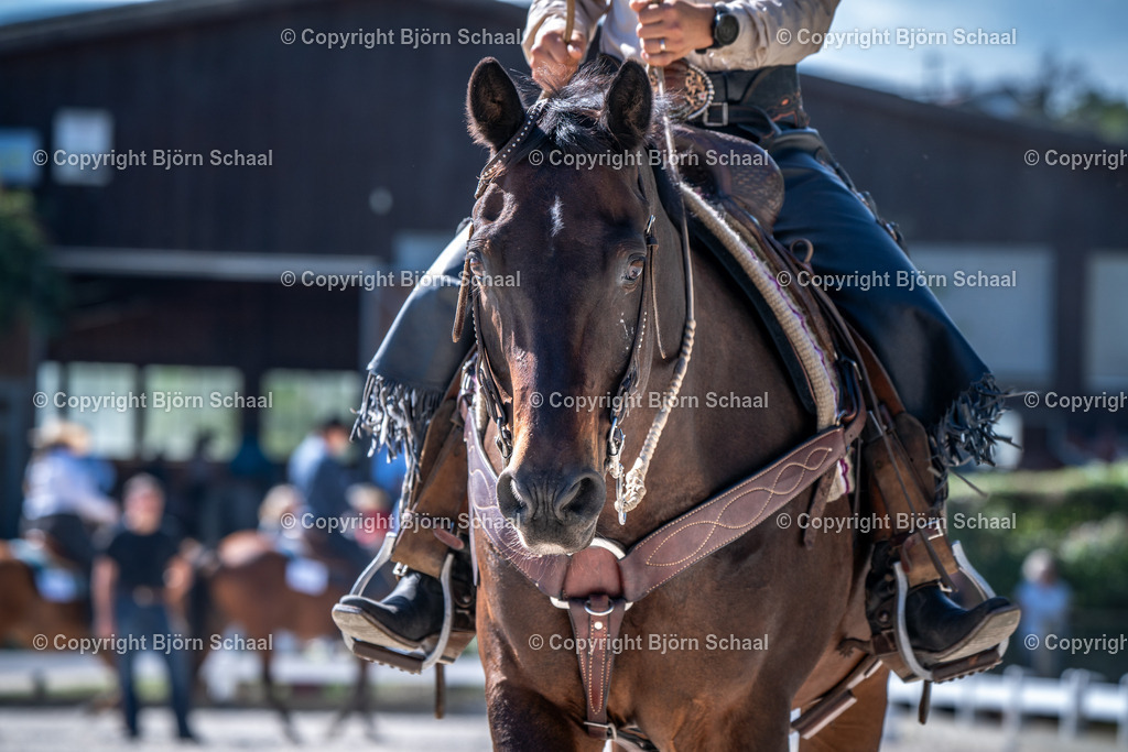 HOB09124 | BS-foto