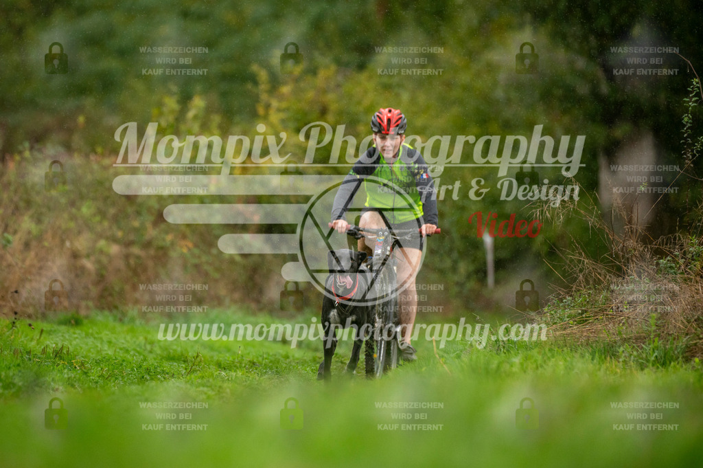 TSB_2023_E6_Bike-42 | PayLife