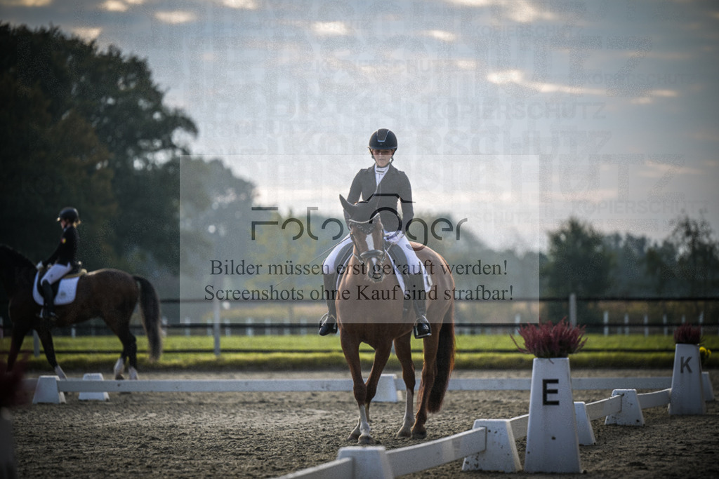 DOS_3585 | Entdecke hochwertige Reitturnierfotos von Foto Oger. Professionell, emotional und authentisch – jetzt Lieblingsmomente im Shop bestellen.Deutschlandweite Turnierfotografie. - Realisiert mit Pictrs.com