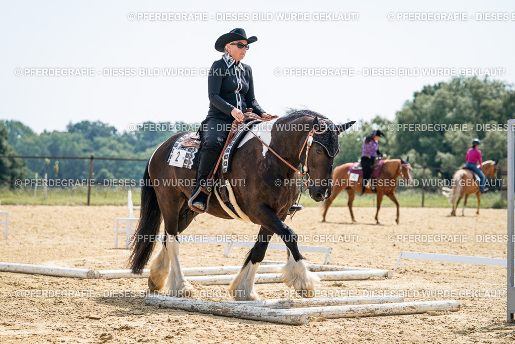 DSC00242 | Pferdegrafie