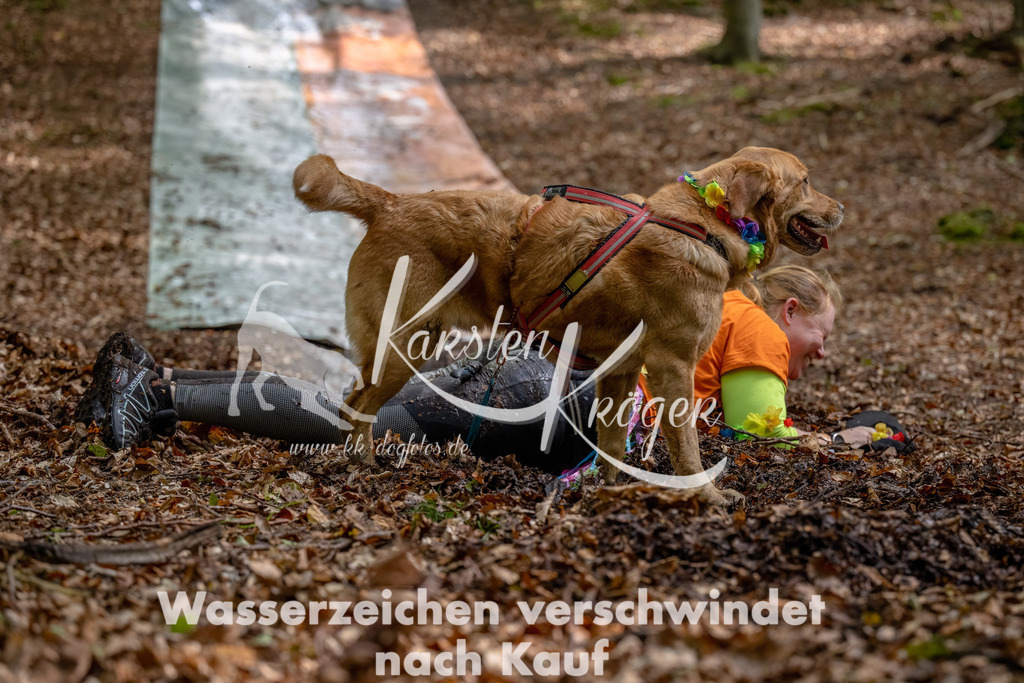 1134_ZZ91261-Bearbeitet | kk-dogfotos