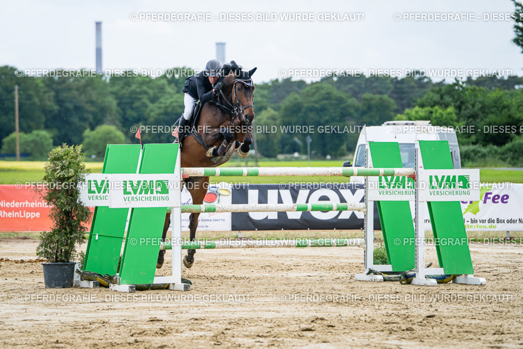 DSC07070 | Pferdegrafie