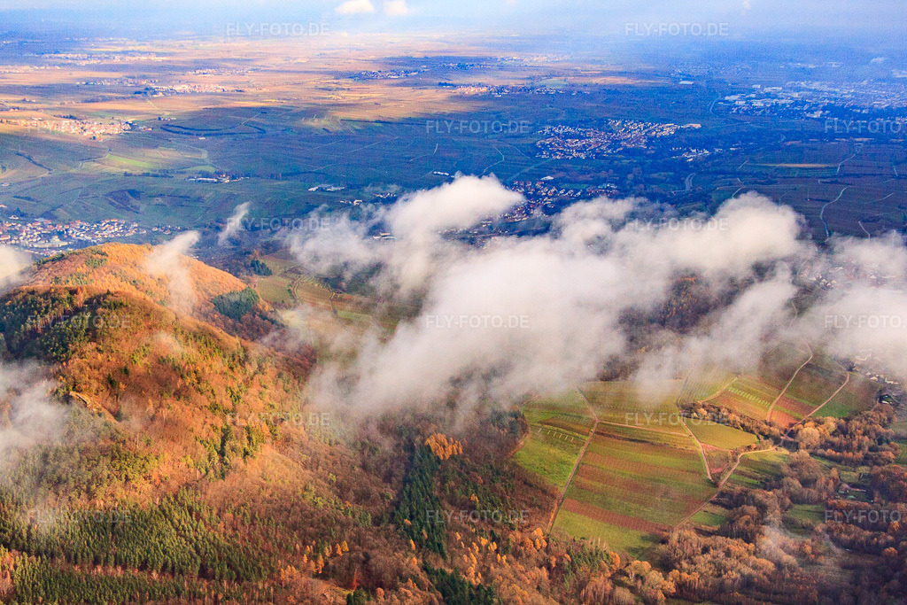 Luftbild: Hohenberg aus Westen in Birkweiler im Bundesland Rheinland-Pfalz in Deutschland. Foto: IMG_61180.jpg vom 30.11.2013 durch Werner Riehm/FLY-FOTO.deAuflösung des Originals: 4661 x 3107 px