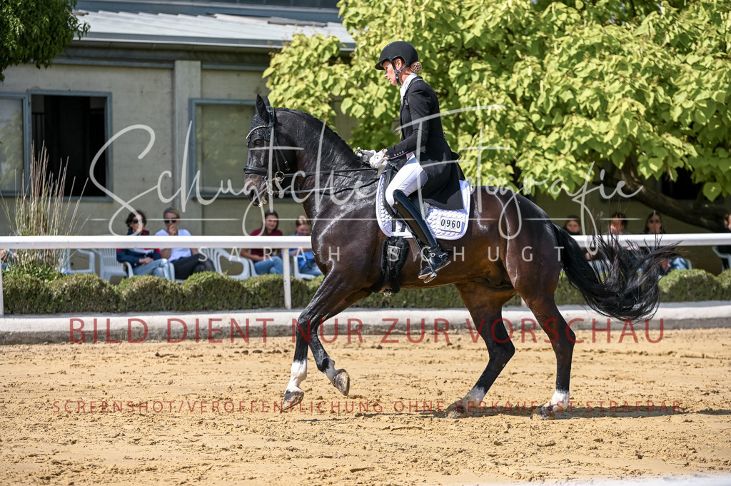 Schugtsche-Aluta25-58. Dressurprf.S1Kand.St.GeorgSpecial-168 | Schugtsche Fotografie - Realisiert mit Pictrs.com