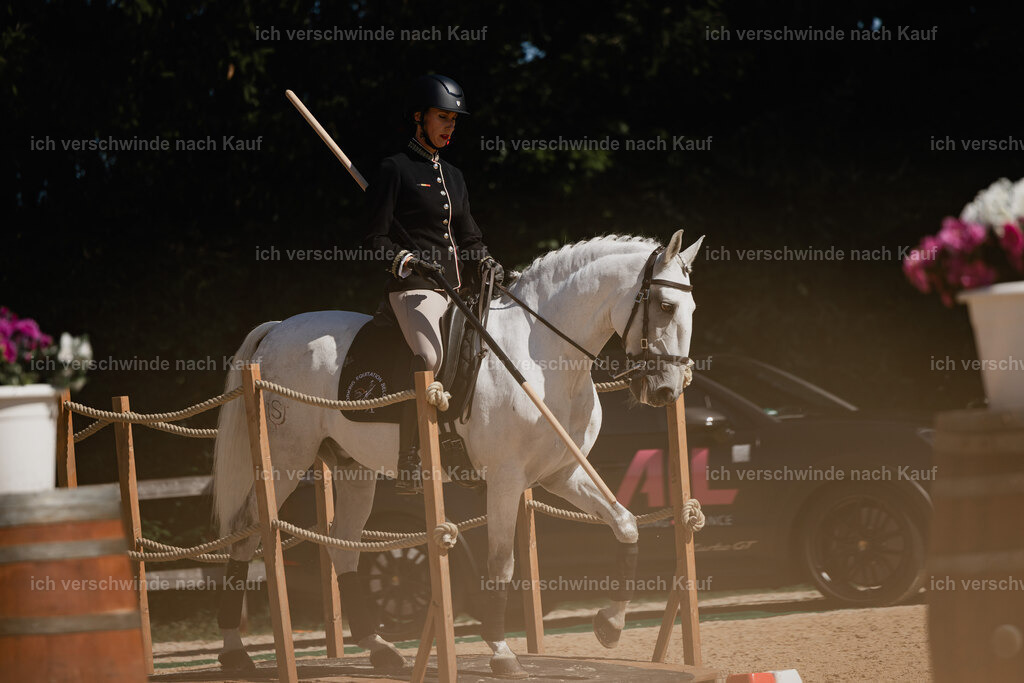 Virginie12FHC2025-27283 | working equitationturnier fotograf videograf stoibphotography marixx film working equitation deutschland reitsport turnierfotografie eventfotografie equestrian events