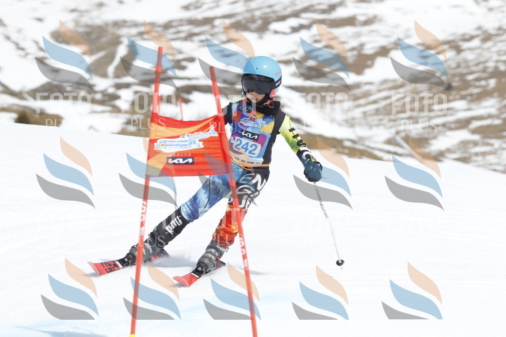 _U3G2726 | holidayphoto