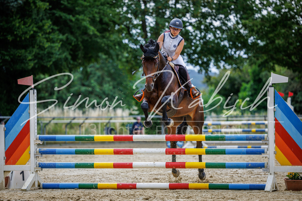 20260705-_3LI4374 | Tierfotografie Pferde, Hunde, Katzen, Haustiere.
Turnierfotografie Reitturniere, Reiten, Springreiten, Dressur in Hanau, dem Main-Kinzig-Kreis und dem Rhein-Main- Gebiet um Frankfurt