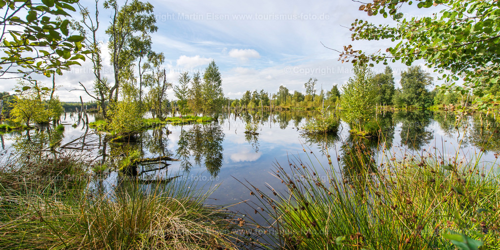 Oldendorf Hohes Moor_ELS_9237150816p | Oldendorf - Aufnahmedatum: 15.08.2016, Aufnahmehöhe:  m, Koordinaten:  - , Bildgröße: 6958 x  3479 Pixel - Copyright 2016 by Martin Elsen, Kontakt: Tel.: +49 157 74581206, E-Mail: info@schoenes-foto.deSchlagwörter:Hohes Moor,Moor,Landschaft,Samtgemeinde Himmelpforten, Insel, Niedersachsen,Martin Elsen, Landkreis Stade, - Realisiert mit Pictrs.com