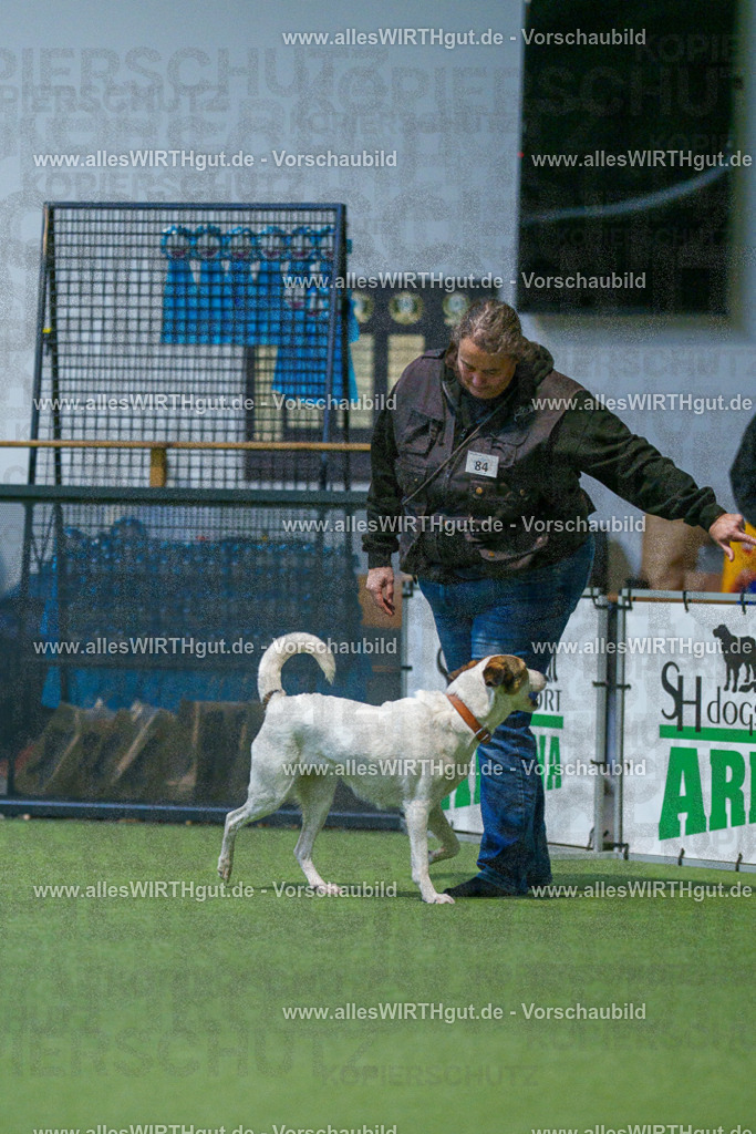 7R503343 | Professionelle Tierfotografie in Mönchengladbach von Daniel Wirth (allesWIRTHgut). Liebevolle & natürliche Bilder von Hunden & Katzen für unvergessliche Erinnerungen.