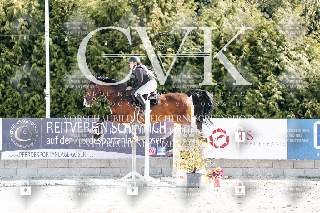 CK902516 | Turnierfotografie Pferdefotografie Trier Rheinland-Pfalz Pferdesport Reitsport Tierfotografie Sportfotografie Pferdevideo Pferdevideografie Equestrianvideography equestrianphotography  - Realisiert mit Pictrs.com