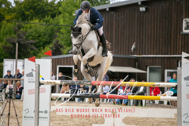 IMG_5788 | Turniersportfotografie; Pferdefotografie; Dressurfotografie