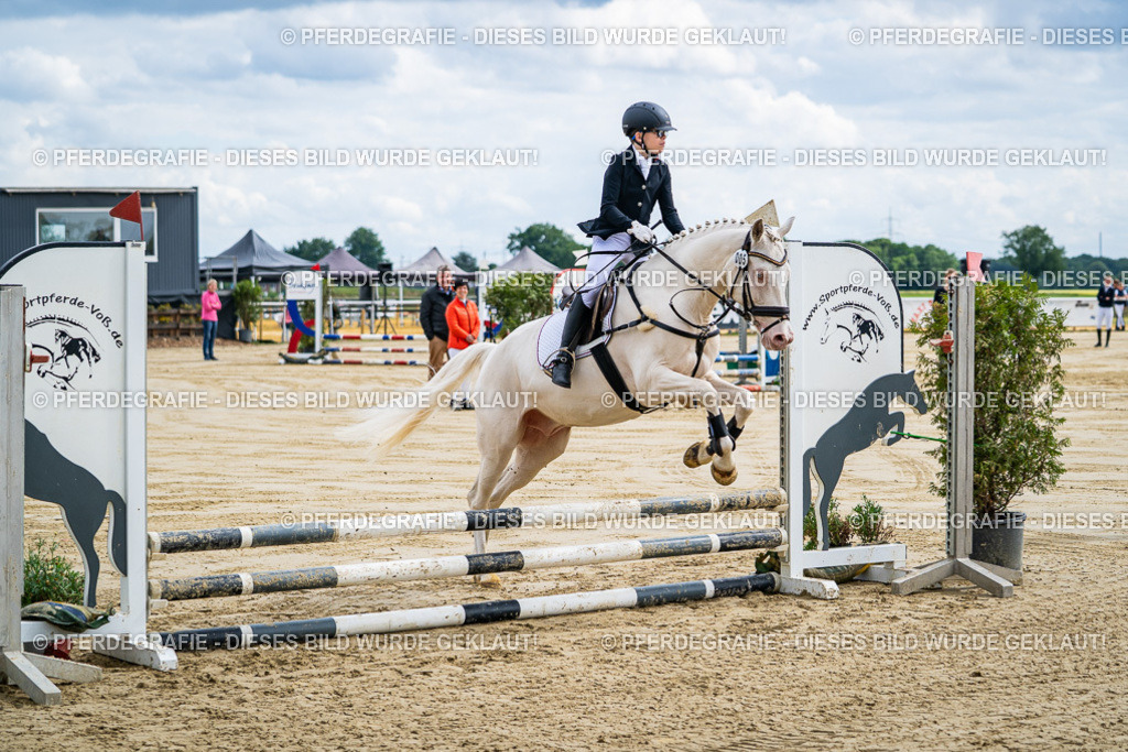 DSC06446 | Pferdegrafie