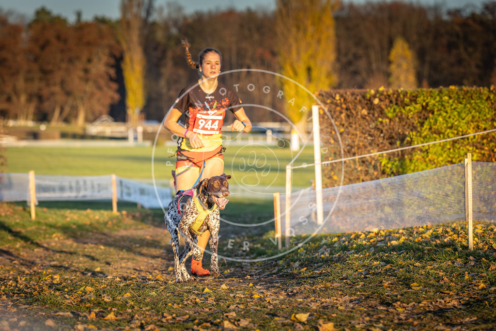 CaniXpix_DV3A5434 | Hundefotografie, Tierfotograf, Pfotenfotografie, Fotoshooting Hund, Hunde Portrait, Hundesport, Hundeportraits, Heideshooting, Hunde, Sportfotograf, Hundefotograf, Turnierhundsport, THS,  - Realisiert mit Pictrs.com