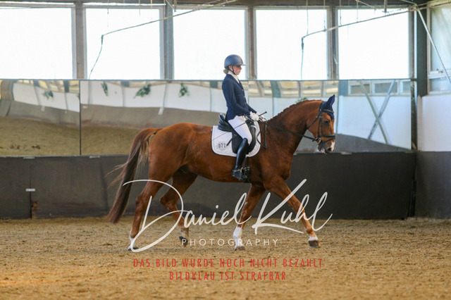 IMG_3304 | Turniersportfotografie; Pferdefotografie; Dressurfotografie