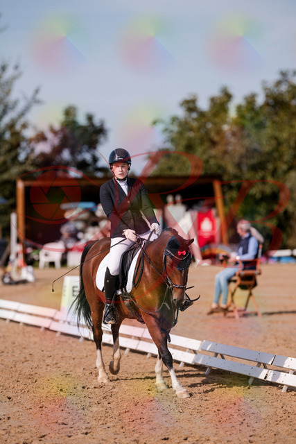 2026_10_03_Siefer-Hof_115753_Z81_99442086 | Professionelle Reitsport-, Turnier- und Eventfotografie von Robert Broda. Galerien mit ausgewählten und bearbeiteten Bildern direkt online ansehen und bestellen.