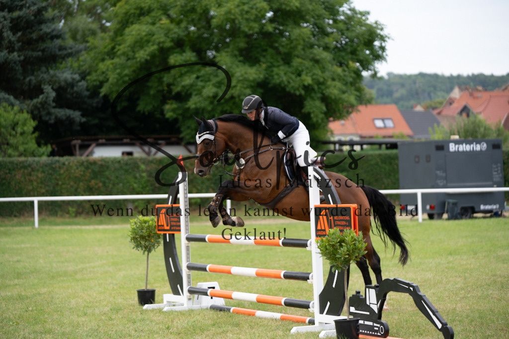 A7V01282 | Pferdefotograf