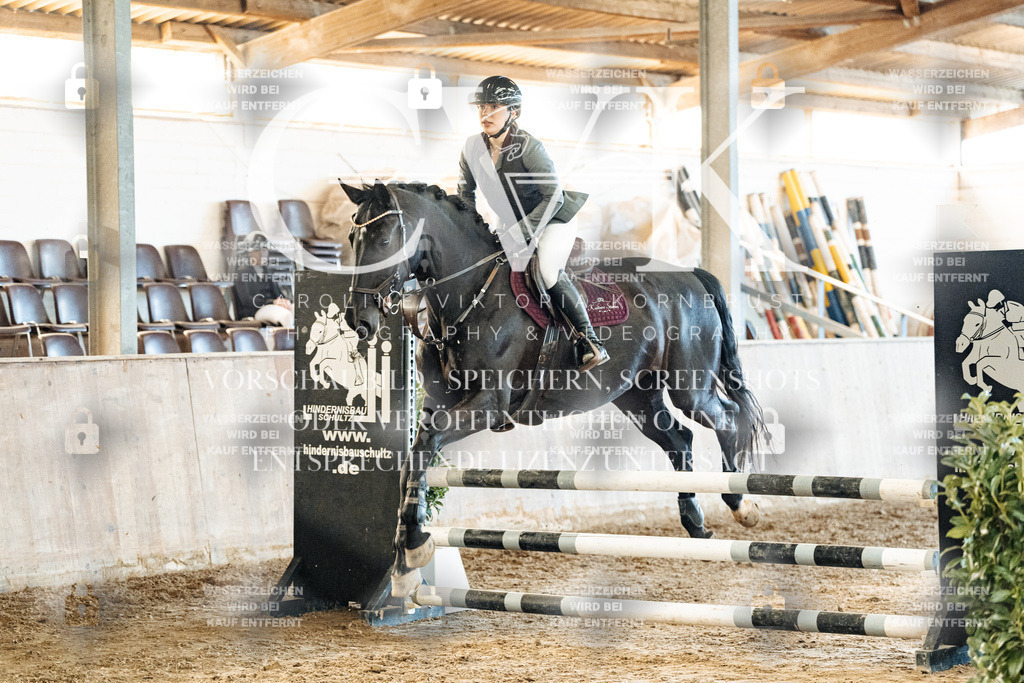 CK904683 | Turnierfotografie Pferdefotografie Trier Rheinland-Pfalz Pferdesport Reitsport Tierfotografie Sportfotografie Pferdevideo Pferdevideografie Equestrianvideography equestrianphotography  - Realisiert mit Pictrs.com