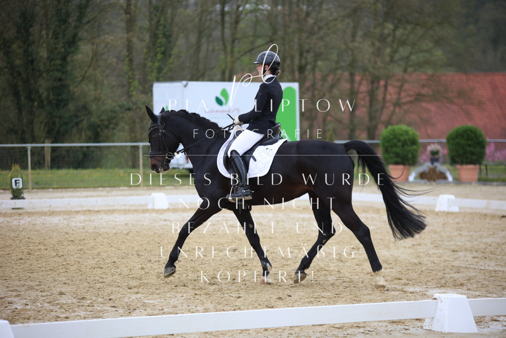 IMGT5894 | pl-fotografie