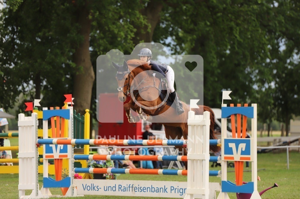 IMG_7993 | Pauline Ullmann Photography - Realisiert mit Pictrs.com