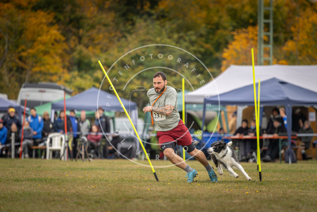 Pfotenfotografie_DV3A5286 | Hundefotografie, Tierfotograf, Pfotenfotografie, Fotoshooting Hund, Hunde Portrait, Hundesport, Hundeportraits, Heideshooting, Hunde, Sportfotograf, Hundefotograf, Turnierhundsport, THS,  - Realisiert mit Pictrs.com