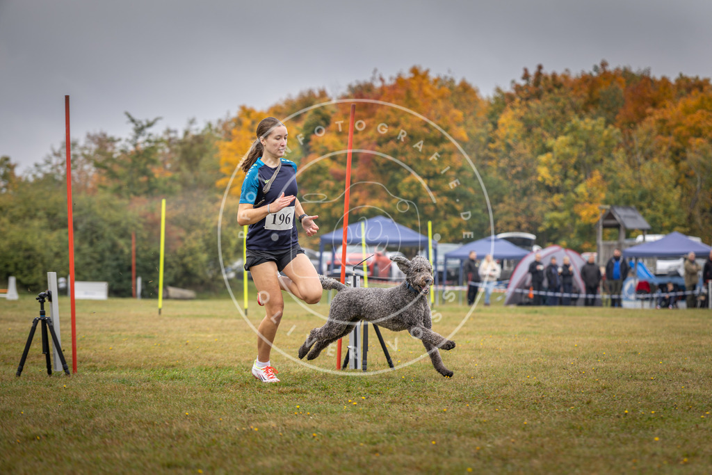 Pfotenfotografie_DV3A1067 | Hundefotografie, Tierfotograf, Pfotenfotografie, Fotoshooting Hund, Hunde Portrait, Hundesport, Hundeportraits, Heideshooting, Hunde, Sportfotograf, Hundefotograf, Turnierhundsport, THS,  - Realisiert mit Pictrs.com
