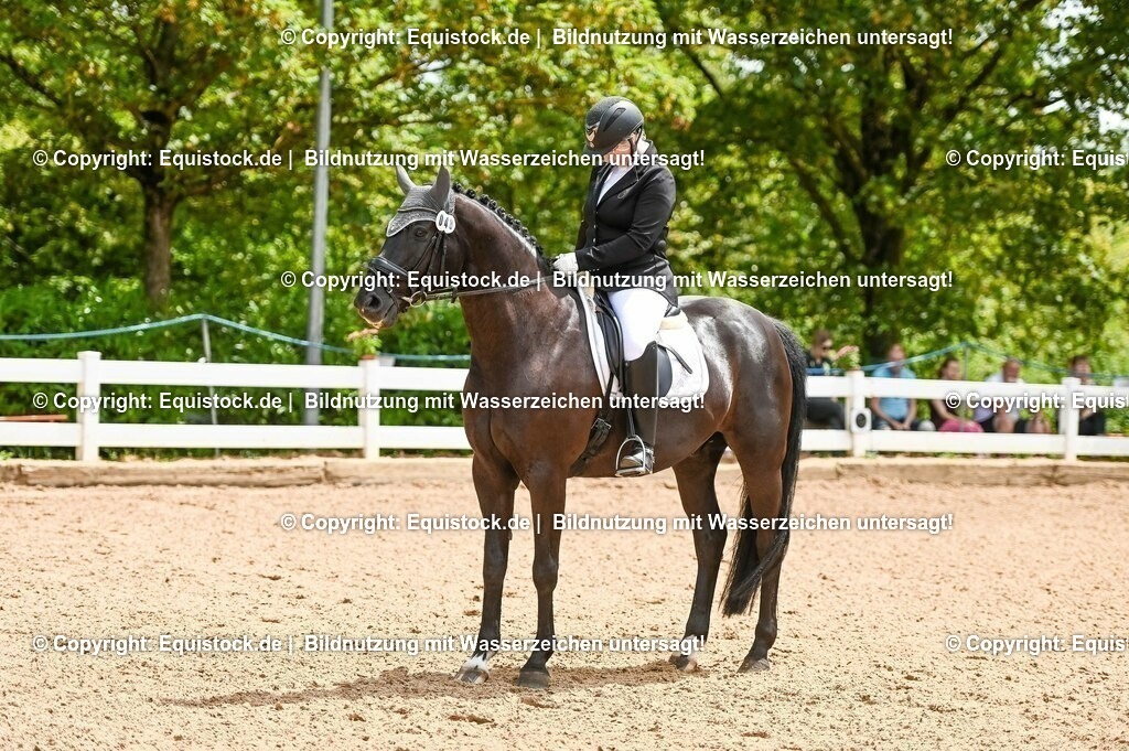 20230716_03_Dressurprfg. Kl.L - Tr._0181 | equistock