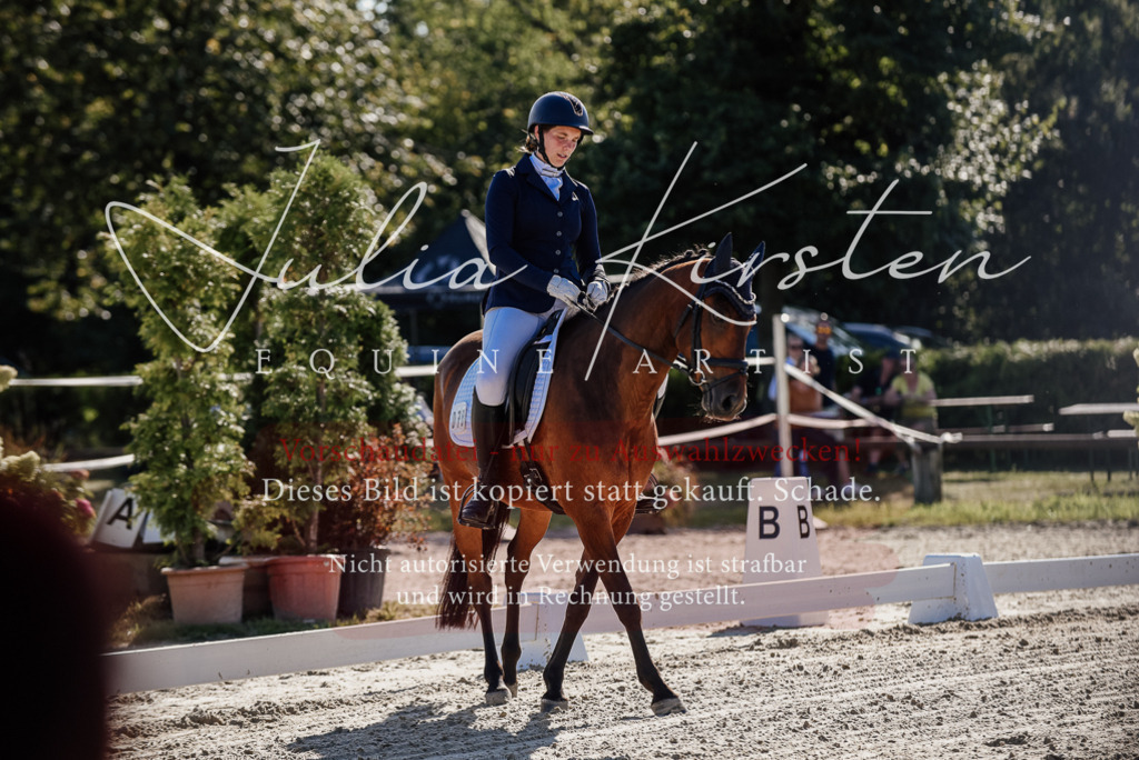 DSC_0267 | Pferde- und Turnierfotografie in Westsachsen. Pferdeportraits, Auftragszeichnungen und intuitive Kunst.