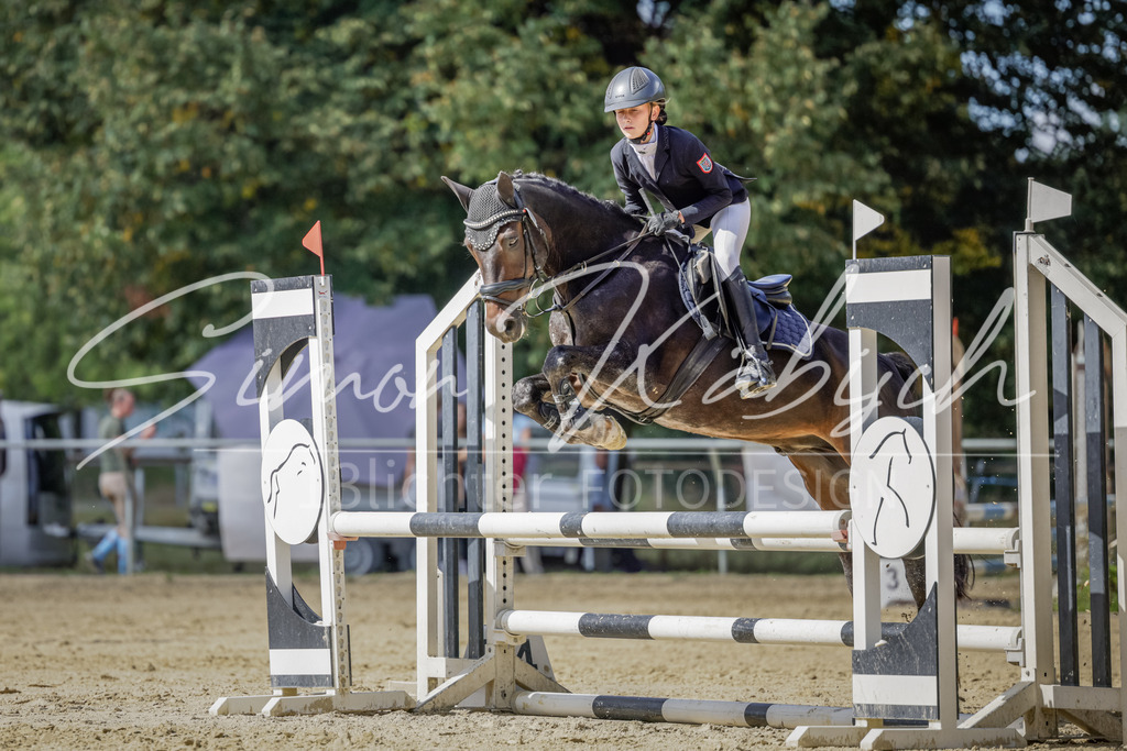 20250906-_3LI6346 | Tierfotografie Pferde, Hunde, Katzen, Haustiere.
Turnierfotografie Reitturniere, Reiten, Springreiten, Dressur in Hanau, dem Main-Kinzig-Kreis und dem Rhein-Main- Gebiet um Frankfurt