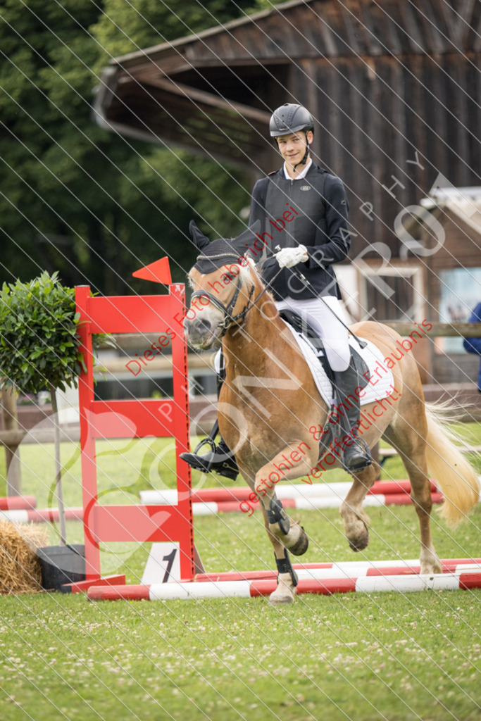 IMG_2394 | Sport-, Event- und Tierfotos in Profiqualität. Einfach auswählen, bestellen und herunterladen. Dein Moment – perfekt festgehalten.