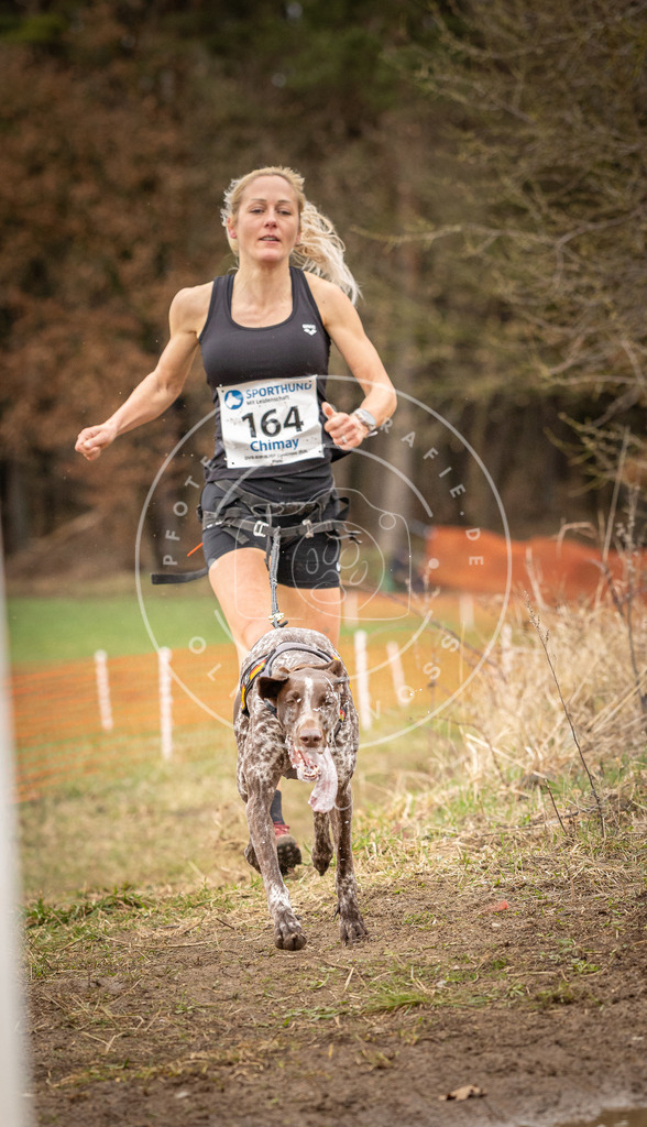 DV3A2042 | Hundefotografie, Tierfotograf, Pfotenfotografie, Fotoshooting Hund, Hunde Portrait, Hundesport, Hundeportraits, Heideshooting, Hunde, Sportfotograf, Hundefotograf, Turnierhundsport, THS,  - Realisiert mit Pictrs.com