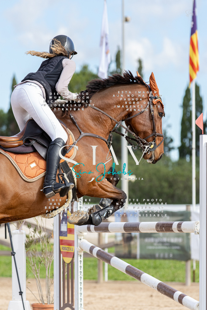 IMG_3148 | s-jay-photography - Realisiert mit Pictrs.com