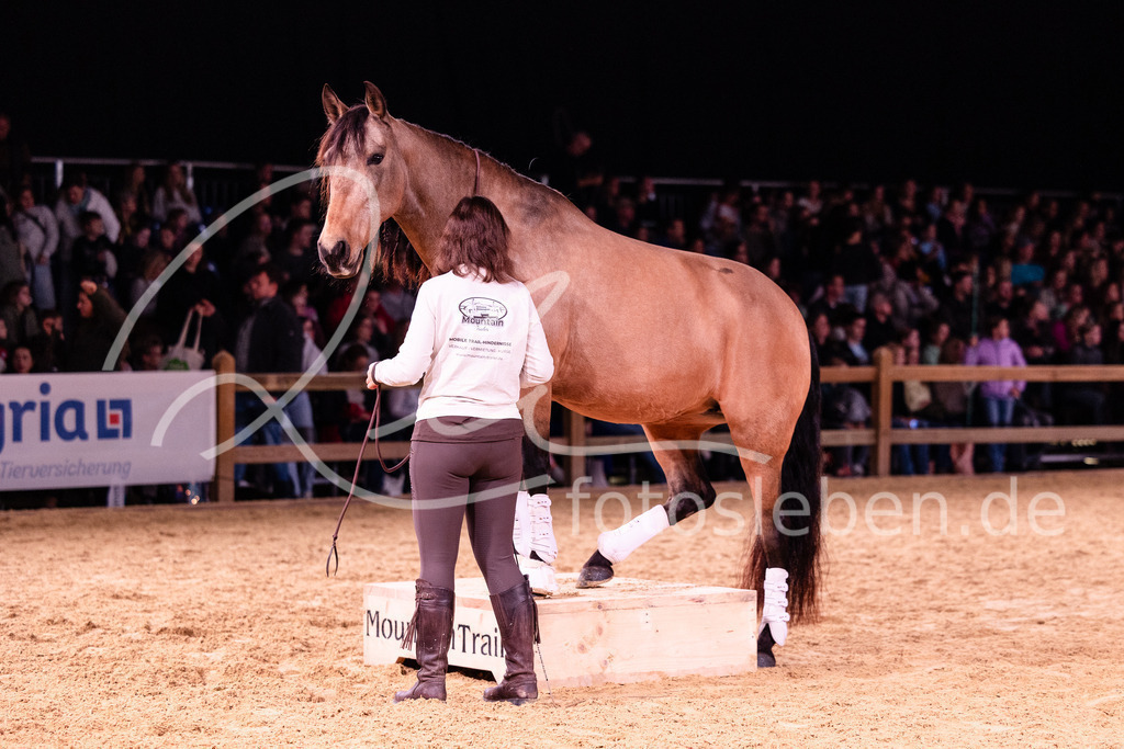 846A8909 | fotosleben - Realisiert mit Pictrs.com