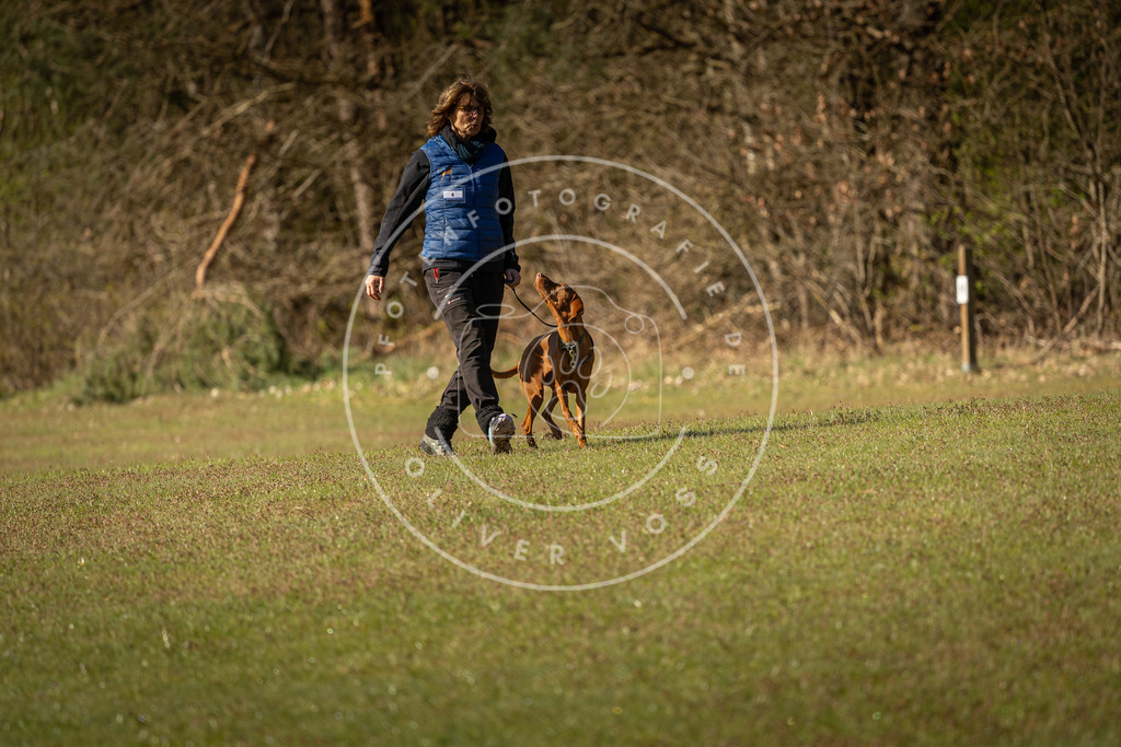 Pfotenfotografie_DV3A0054 | Hundefotografie, Tierfotograf, Pfotenfotografie, Fotoshooting Hund, Hunde Portrait, Hundesport, Hundeportraits, Heideshooting, Hunde, Sportfotograf, Hundefotograf, Turnierhundsport, THS,  - Realisiert mit Pictrs.com