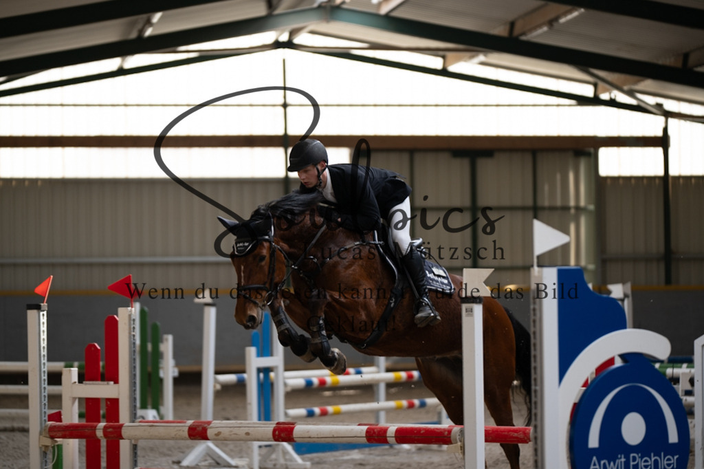 A7V08170 | Pferdefotograf