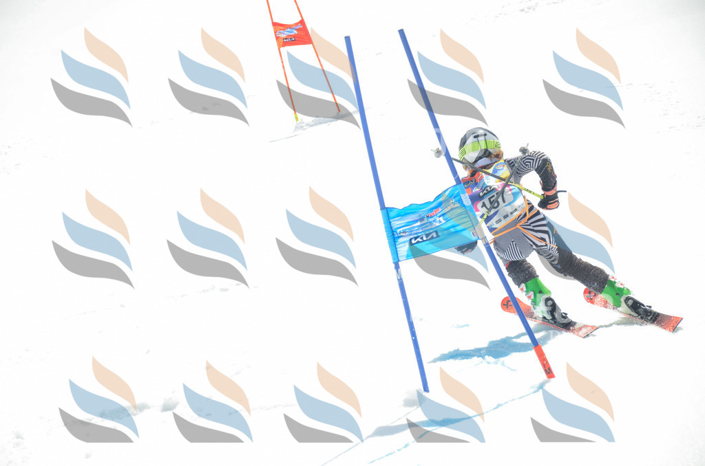 _ELE6396 | holidayphoto