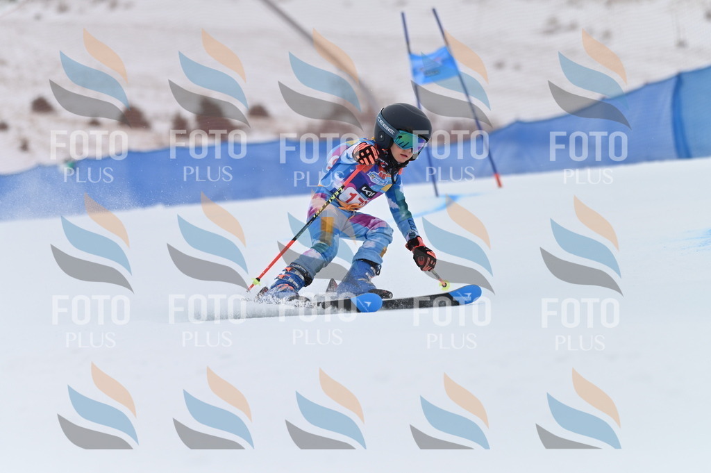 BGV_0682 | holidayphoto