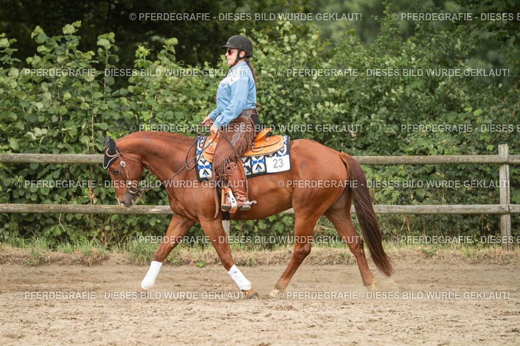 DSC03204 | Pferdegrafie