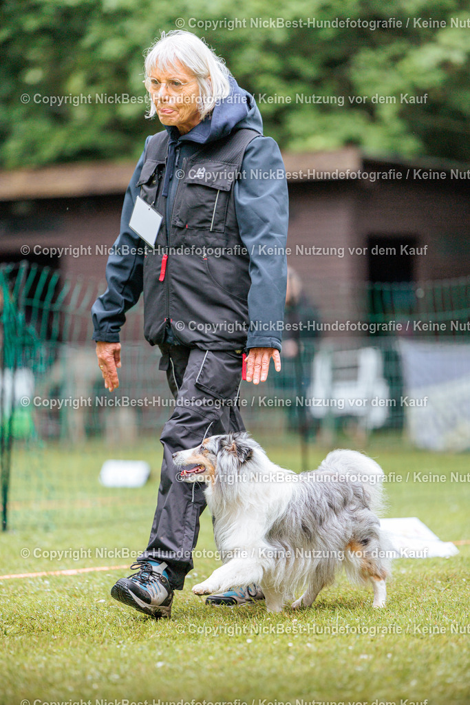 RO-Blumenthal-2026-Nickbest-Hundefotografie-4294 | Dein Hund! Dein Moment! Deine Erinnerungen! Hundefotografie in Bremen Blumenthal. Ich fange die besonderen Momente deines Vierbeiners ein – ob Indoor mit Blitzanlage oder in der freien Natur. Sicher dir dein Moment und dein Termin für eure Erinnerungen.