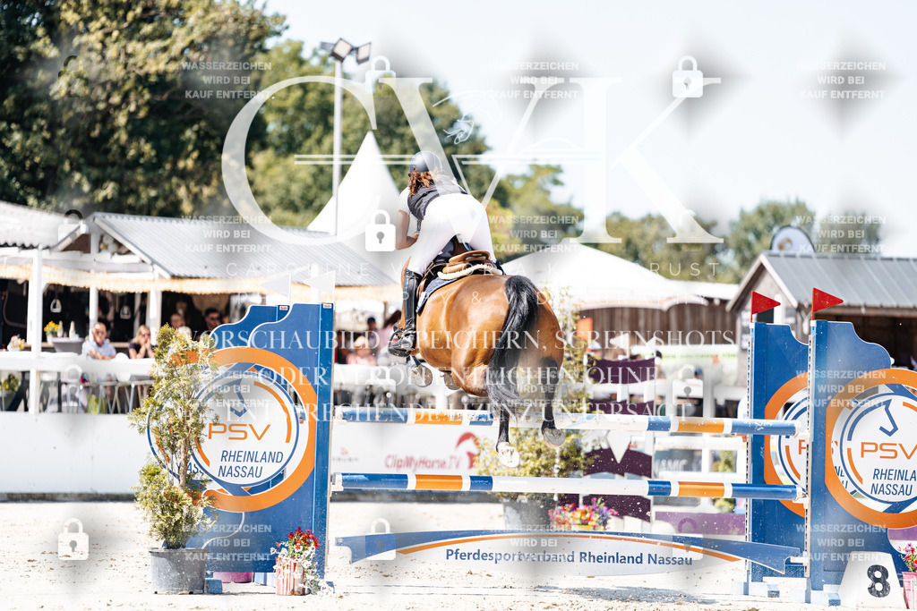 CK909794 | Turnierfotografie Pferdefotografie Trier Rheinland-Pfalz Pferdesport Reitsport Tierfotografie Sportfotografie Pferdevideo Pferdevideografie Equestrianvideography equestrianphotography  - Realisiert mit Pictrs.com