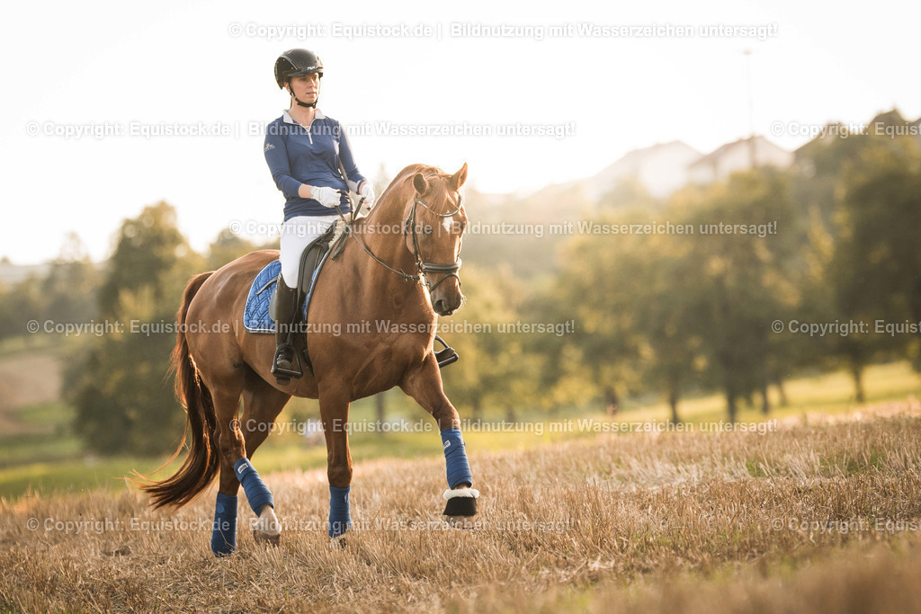 TS_20170814_Stoppelfeld_Reiten_0003 1 | Foto: Thomas Hartig