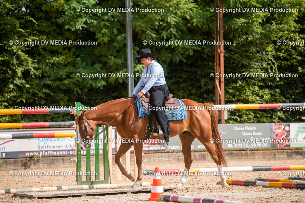 ZS3_9384 | dv-media-shop - Realisiert mit Pictrs.com