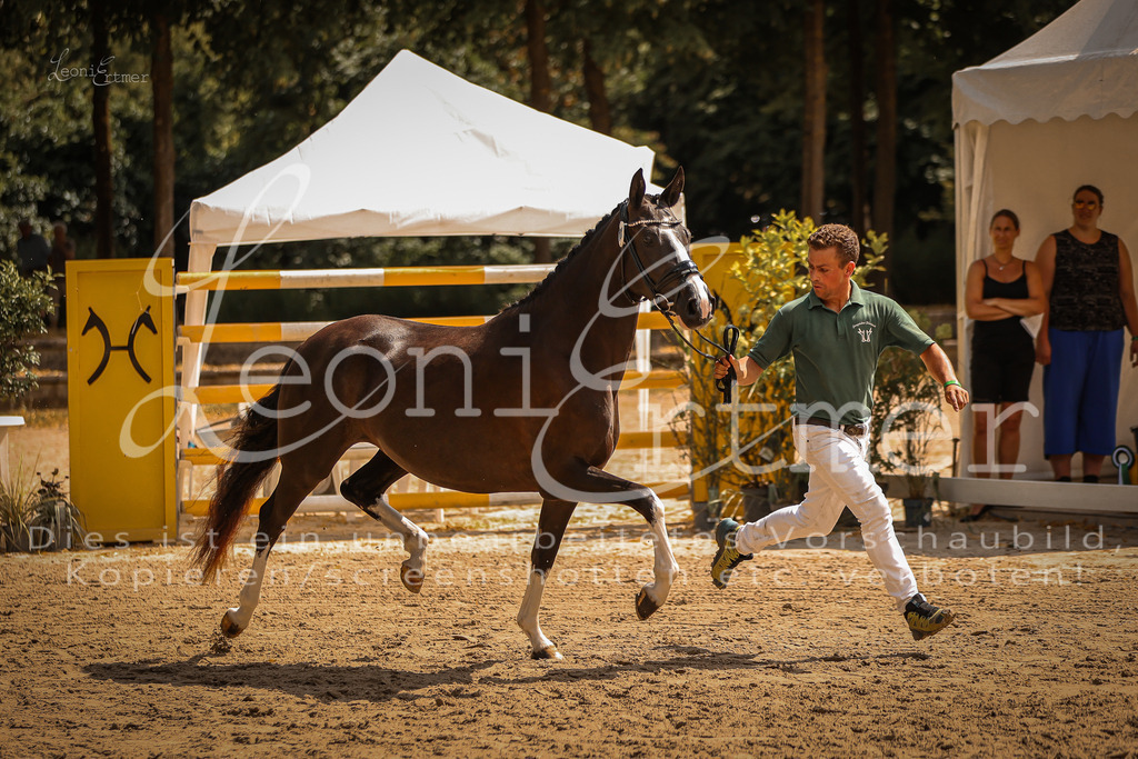 11.So00088 | Leoni Ertmer Photography - Realisiert mit Pictrs.com