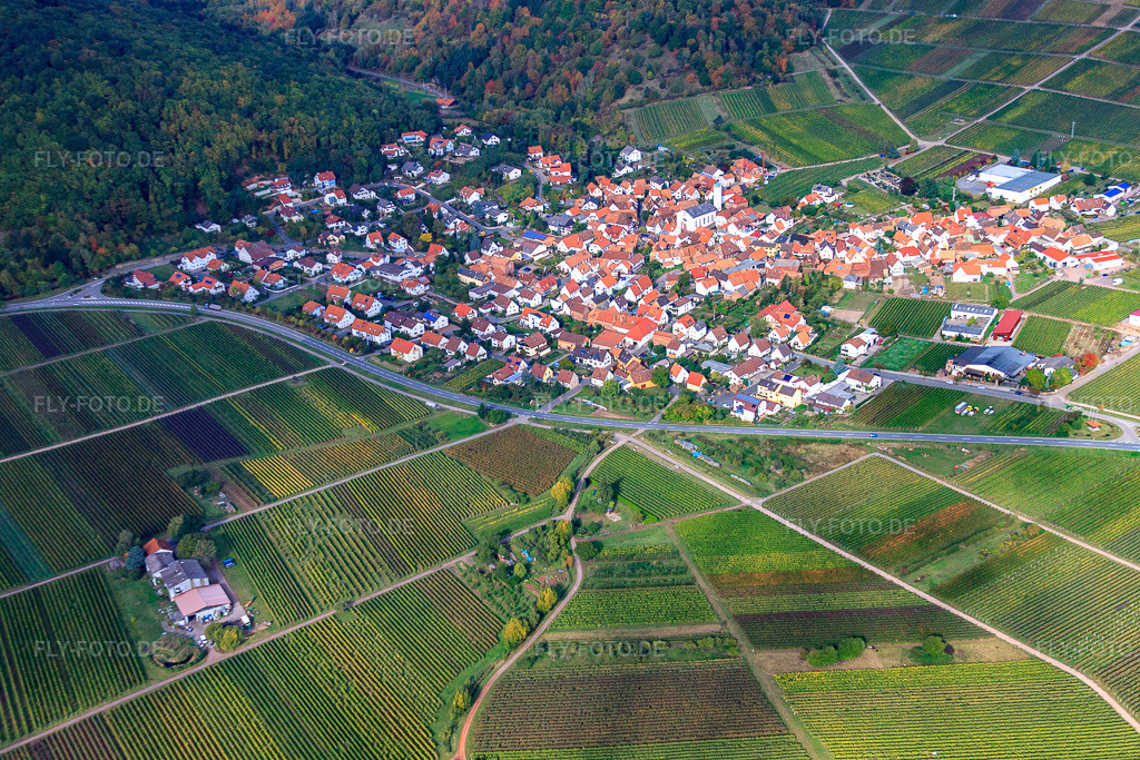 Luftbild: Weingut Herrenhof in Eschbach im Bundesland Rheinland-Pfalz in Deutschland. Foto: IMG_22383.jpg vom 15.10.2009 durch Werner Riehm/FLY-FOTO.de
