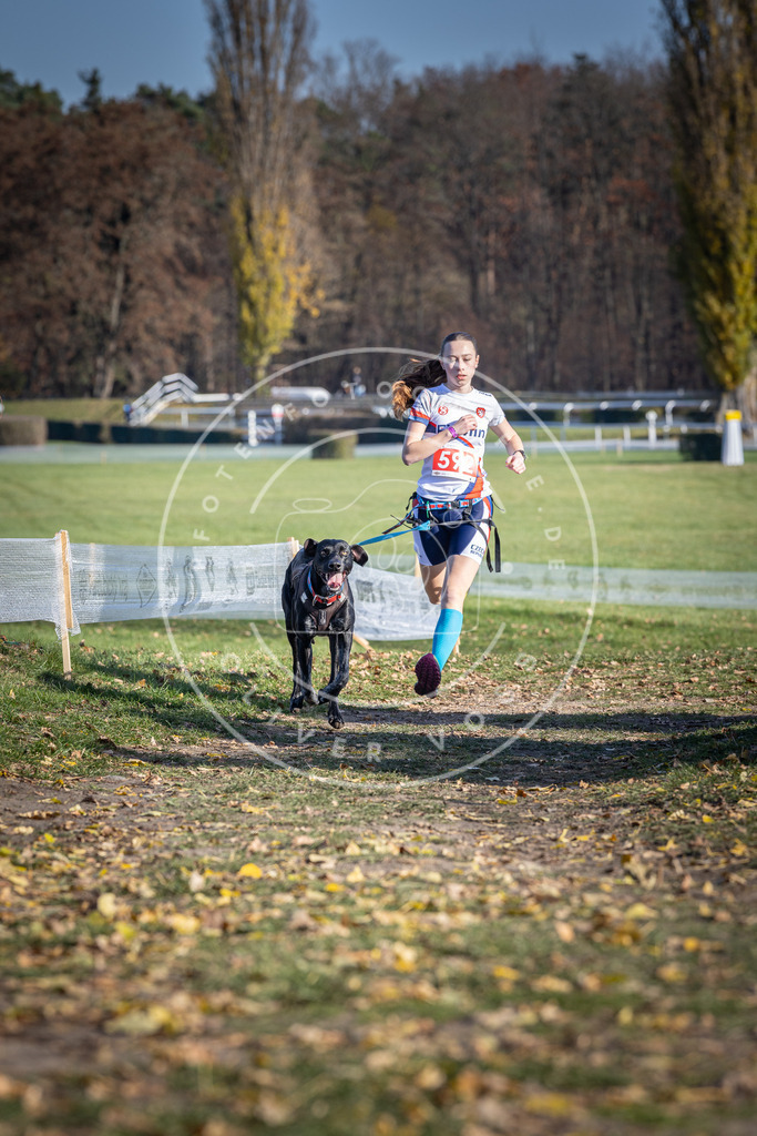 CaniXpix_DV3A9282 | Hundefotografie, Tierfotograf, Pfotenfotografie, Fotoshooting Hund, Hunde Portrait, Hundesport, Hundeportraits, Heideshooting, Hunde, Sportfotograf, Hundefotograf, Turnierhundsport, THS,  - Realisiert mit Pictrs.com