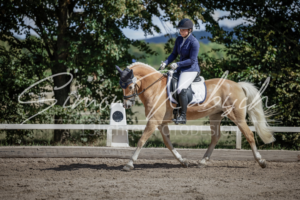 20250906-_3LI5350 | Tierfotografie Pferde, Hunde, Katzen, Haustiere.
Turnierfotografie Reitturniere, Reiten, Springreiten, Dressur in Hanau, dem Main-Kinzig-Kreis und dem Rhein-Main- Gebiet um Frankfurt