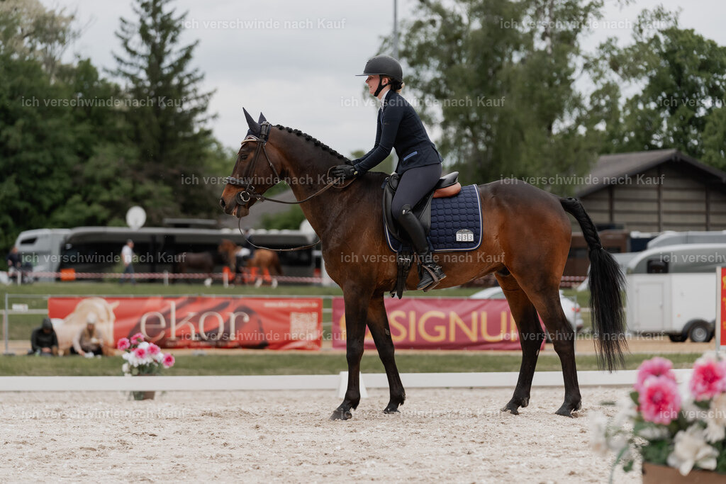 WE_DR_Stoib_333_PI2025_472 | Pferd International München 2025