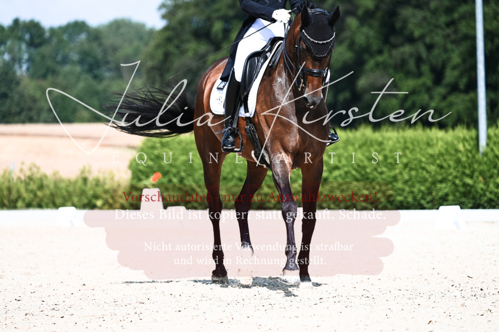 DSC_3061 | Pferde- und Turnierfotografie in Westsachsen. Pferdeportraits, Auftragszeichnungen und intuitive Kunst.